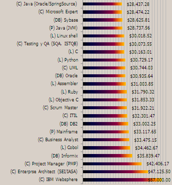 lenguajes programación México