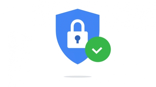 google seguridad