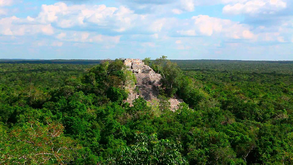 Selva Maya