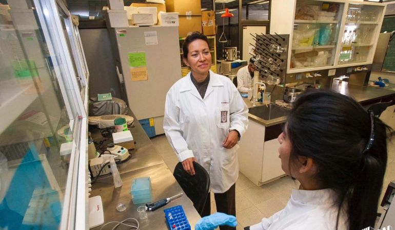 78D26AB7 9C9B 41C9 A407 01E9767ECBF4