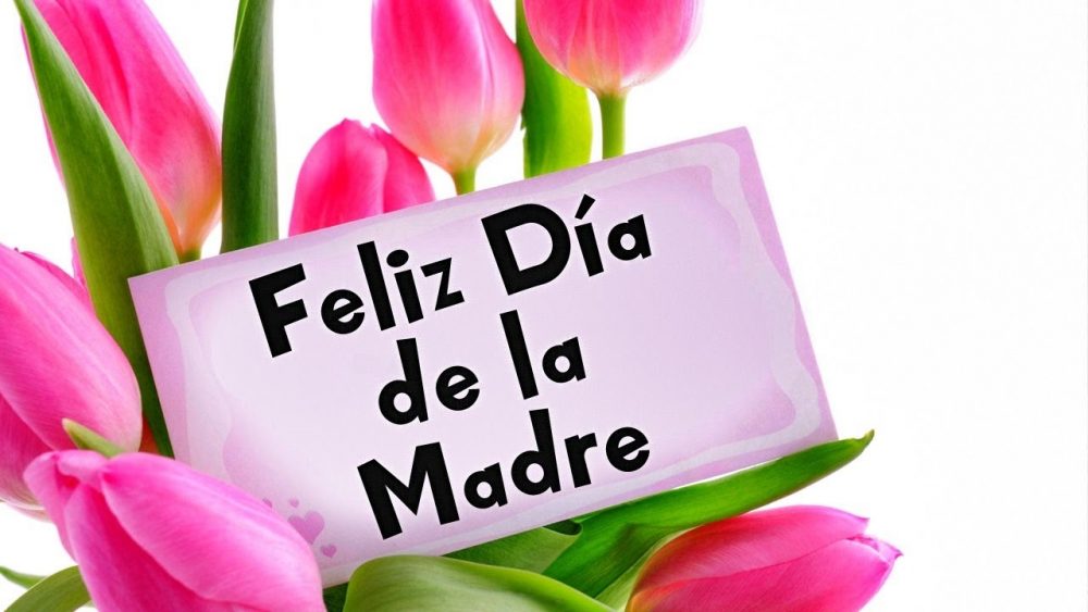 feliz dia madre