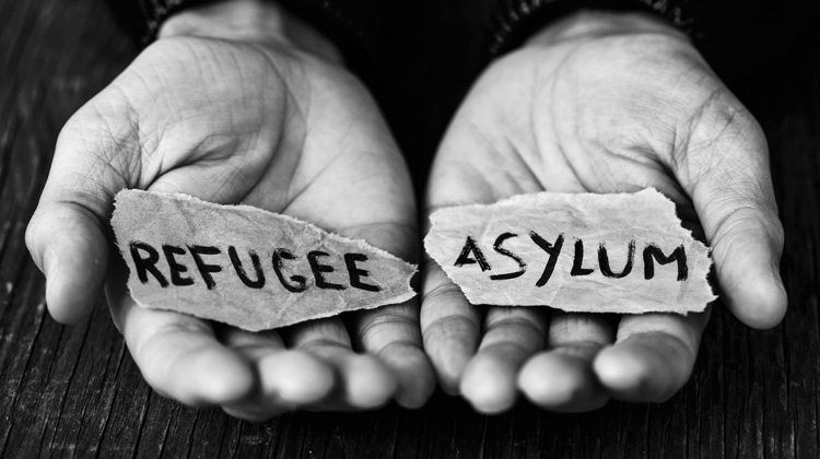 asilo politico diario juridico