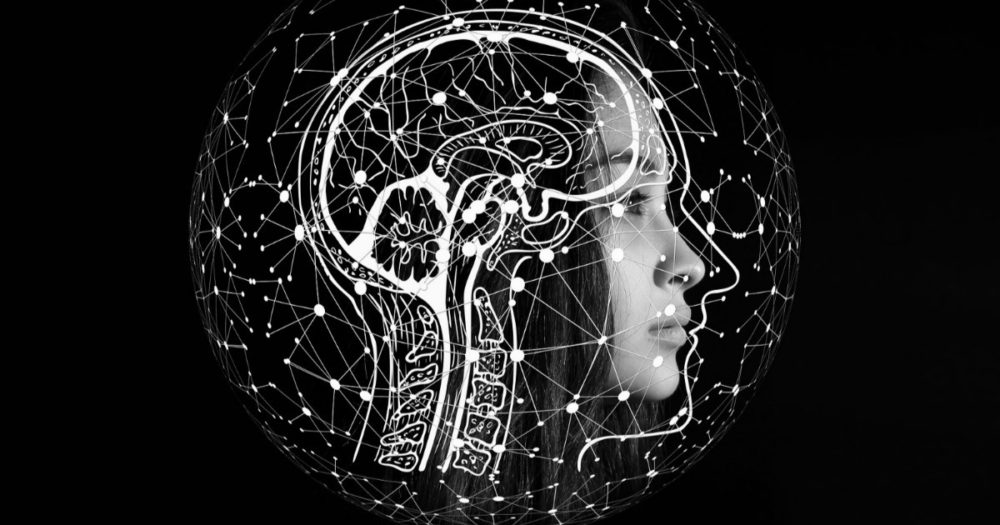 tipos de inteligencia og scaled