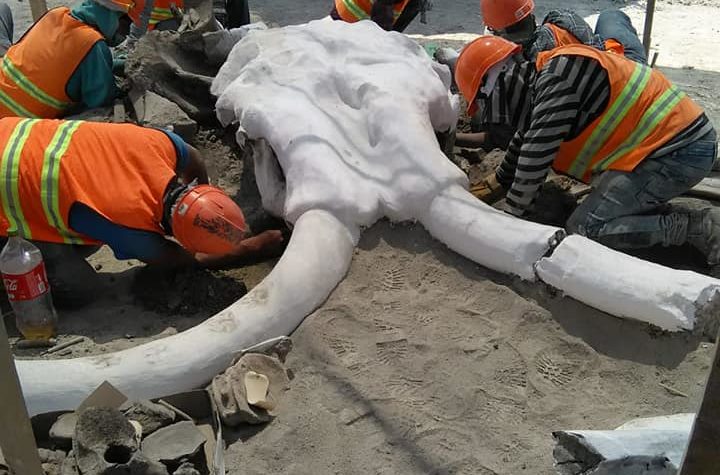 99120478 10220273778488131 7197817042894848000 n