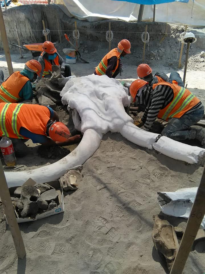 99120478 10220273778488131 7197817042894848000 n