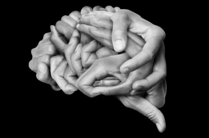 plasticidad cerebral