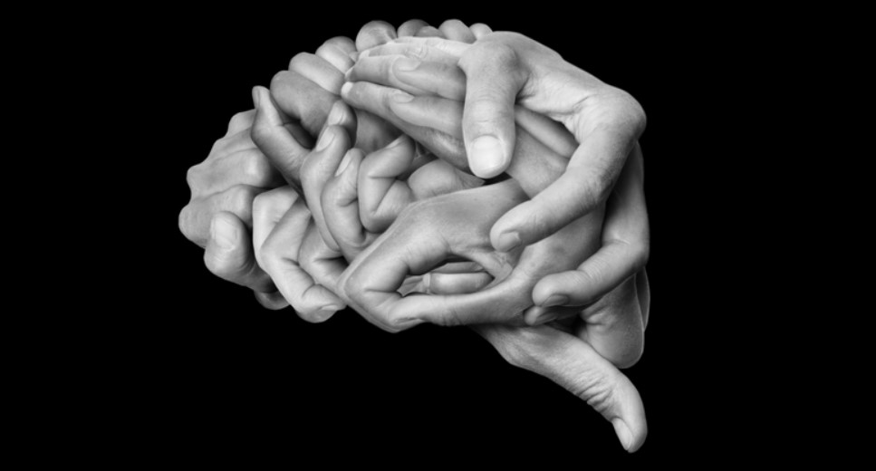 plasticidad cerebral