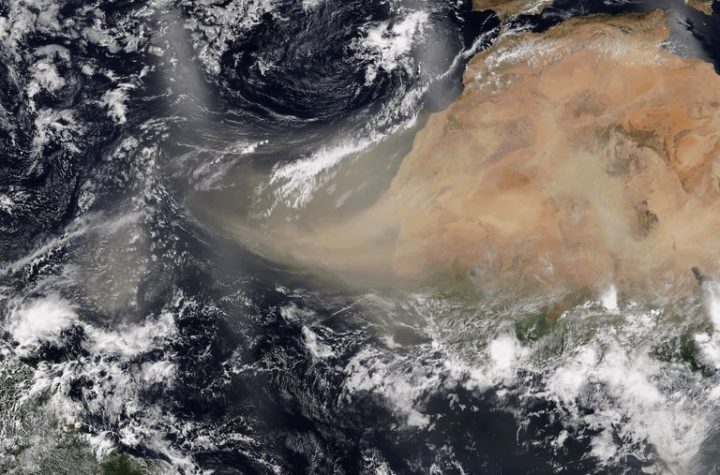 En próximos días, ola de arena del Sahara llegará a México