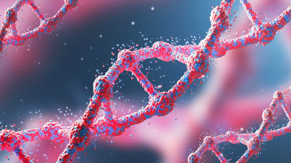 Científicos logran secuencia del genoma humano X ¿Qué significa?