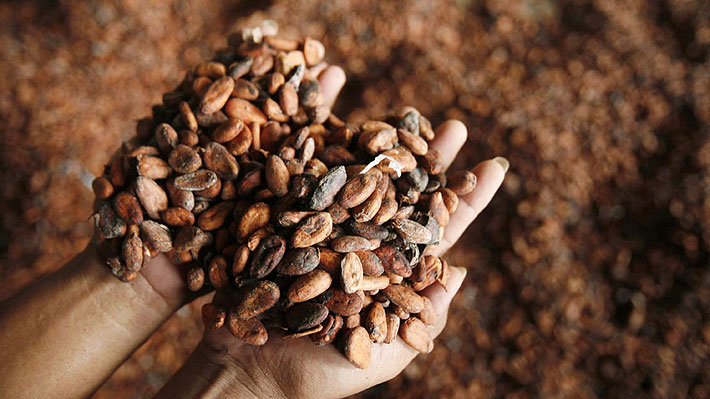 ¿Nieve de cacao? Esto es lo que ocurrió en Suiza