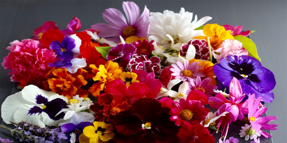 flores comestibles