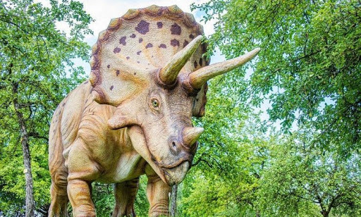 Así fue la evolución del escudo del Tricerátops