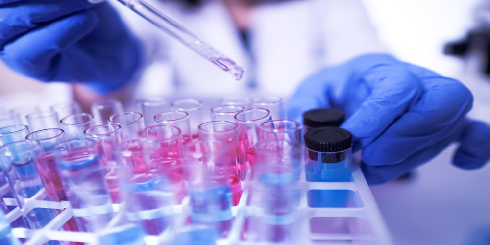 Ley de Ciencia y Tecnología