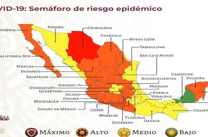 Chihuahua semáforo rojo