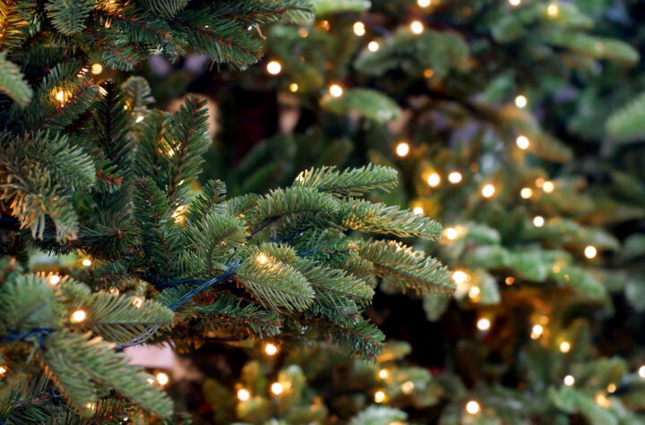 Cuando quitar el árbol de Navidad