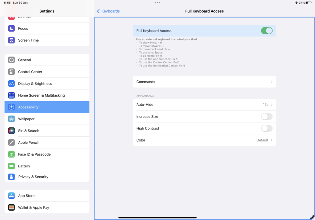 IPad OS Accesibilidad bordes azules
