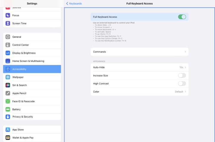 IPad OS Accesibilidad bordes azules