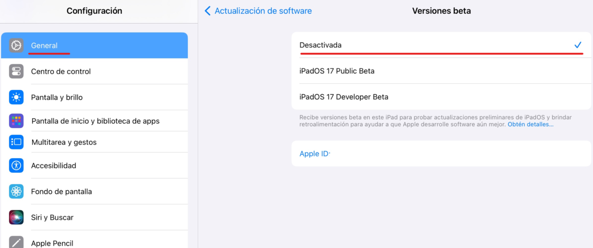 Salir programa beta iOS iPadOS